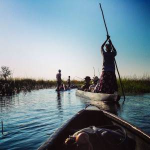 Okavango Delta, Botswana               